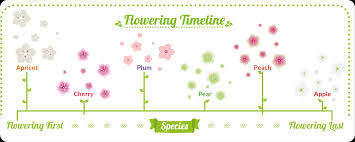 Nothing says spring more than masses of lovely blossoms in your garden and the scent of flowers in the air. How To Grow Fruit Trees Successfully The Primrose Blog