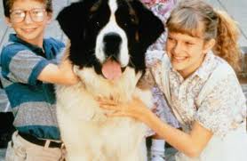 Ein hund namens beethoven (1992) deutsch stream german online anschauen. Ein Hund Namens Beethoven 1991 Film Cinema De