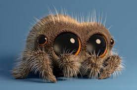 Check spelling or type a new query. Lucas The Spider Wikipedia
