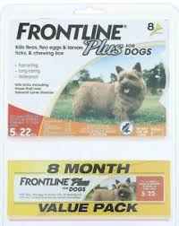 Details About Frontline Plus For Dogs 8 Month Supply 8 Dose Value Pack 5 22 Lbs New