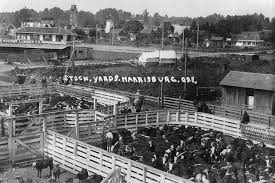 Harrisburg Stock Yards Harrisburg Oregon Jackson Michigan Oregon Jackson