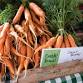 Express Market- Dieppe event image