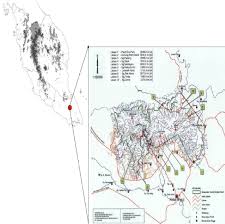 Established in 1989 under the gasettement of the johor national park corporation enactment 1989. Location Of Gunung Panti Forest Reserve Johor Download Scientific Diagram
