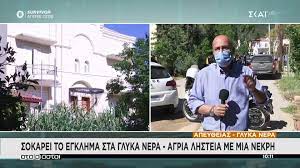 Άγρια δολοφονία στα γλυκά νερά © eurokinissi/δημοπουλοσ θανασησ. Kyqeyrv4qfb2rm