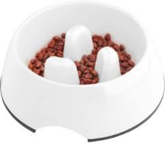 1 pc x smart orthopedic cat bowl. Cat Food Dish For Messy Eaters Top Cat Breeds