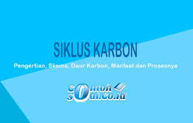 Siklus karbon merupakan siklus biogeokimia yang sangat penting karena menyangkut kehidupan berbagai spesies di dunia. Siklus Karbon Pengertian Skema Daur Karbon Manfaat Dan Prosesnya