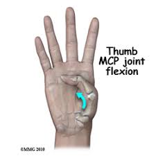 What Is Normal Range Of Motion For The Thumb