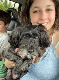 Lost Dog in Beavercreek, Ohio