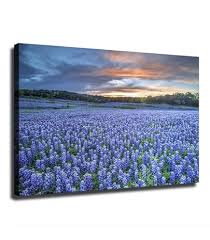 Image result for Bluebonnet Blue 1958 Plymouth