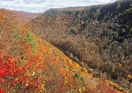 Maybe you would like to learn more about one of these? Pennsylvania S Pine Creek Gorge Is Grand Especially In Fall Pittsburgh Post Gazette