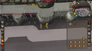These are just some examples. First Pet Rock Golem At Blast Mine 2007scape