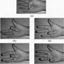 Check spelling or type a new query. Finger Positioning A Thumb B Index Finger C Middle Finger D Download Scientific Diagram