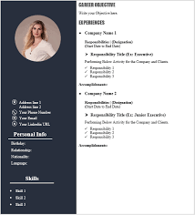 Modern CV/Resume Template (MS Word Format)
