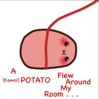 Originally, the vine is about a kid singing a misheard lyric from the r&b song thinkin' bout you by frank ocean. A Potato Flew Around My Room Image Gallery Sorted By Views Know Your Meme