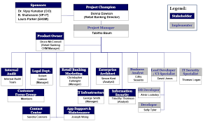 Project Organization Structure Paperless Statements Project