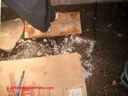 White mold on dirt under house. Mold On Dirt In Crawl Spaces Basements Floors