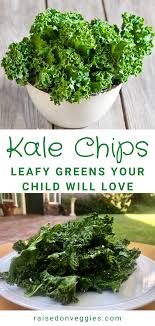 Kale Chips The Perfect Kid S Snack Raised On Veggies Recipe Kids Cooking Activities Vegan Kids Recipes Kale Chips