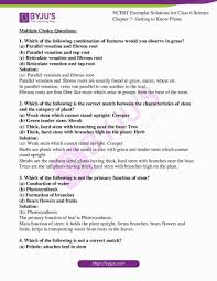 Choose an answer to complete each question. Ncert Exemplar Solutions For Class 6 Science Chapter 7 Getting To Know Plants Avail Free Pdf