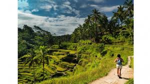 Tarifnya Mulai Rp 325 Ribu Ini Daftar Hotel Dan Villa Murah Di Ubud Lengkap Dengan Kolam Renang Tribun Bali