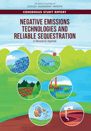 At night, small animals stay out, while in the day they stay inside the deep holes in the sand. 3 Terrestrial Carbon Removal And Sequestration Negative Emissions Technologies And Reliable Sequestration A Research Agenda The National Academies Press