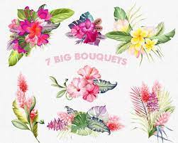 Color + add to wishlist. Tropical Flower Bouquets Clipart Watercolor Flowers And Etsy Tropical Flowers Tropical Flower Tattoos Tropical Flowers Bouquet