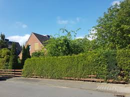 Wohnung von privat in lüneburg mieten: Haus Zum Verkauf Kuchenschellenweg 2 21365 Adendorf Luneburg Kreis Mapio Net