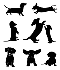 Black And White Dachshund Face Clipart Dachshund Soldier Silhouette Dachshund Dachshund Pattern