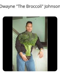 For the best and juiciest salmon fish cakes, please follow my tips and tricks below: New Spell Broccoli Memes Dwayne The Memes Cant Spell Memes Without Memes