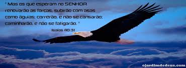 Frases De Amor Facebook Linha Do Tempo Jalan Moron En ellas puedes expresar todos tus sentimientos y emociones, incluyendo frases muy creativas. frases de amor facebook linha do tempo