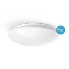 Led ceiling lighting is recessed lamps which are entrenched in the ceiling. 00176545 Hama Wifi Ceiling Light Glitter Effect Round Diameter 30 Cm Hama De