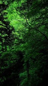 Green Nature Iphone Wallpapers Wallpaper Cave To set the image as your wallpaper, tap and hold the photo to save it to your camera roll.