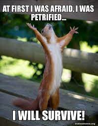 Gina garrett — i will survive (2013). At First I Was Afraid I Was Petrified I Will Survive Happy Squirrel Make A Meme