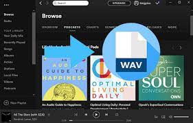 Free audio converter converts audio files between 40+ audio formats. Spotify To Wav Get Spotify Wav Files Online Free