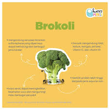 Bahkan, sawi hijau juga dikenal sebagai sayuran super karena kandungan serat, mineral, vitamin. Happympasi Id On Twitter Brokoli Bagus Banget Jadi Salah Satu Bahan Di Menu Mpasi Si Kecil Karena Sayuran Hijau Ini Memiliki Berbagai Manfaat Kesehatan Happympasi Mpasi Mpasihomemade Tipsmpasi Happympasifoodfact Foodfact Sayur Brokoli