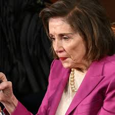 Nancy Pelosi's Reaction to Trump's Congress Speech Goes Viral