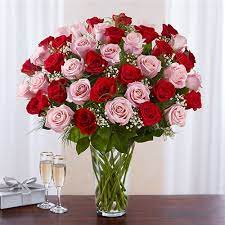 Same day delivery · 20% off all items · from $19.99 Conroy S Flowers Long Beach Local Florist Long Beach Ca