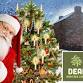 Father Christmas at the Dean Heritage Centre event image
