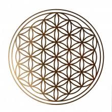 Man sollte sich viel öfter gute. Blume Des Lebens Aufkleber Haftfolien Geprufte Qualitat