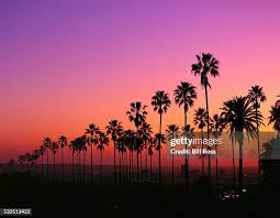 115,896 Ross California Stock Photos, High-Res Pictures, and Images