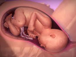 Schwangerschaftswoche (ssw) kannst du dich über den genaueren ablauf der geburt informieren. Schwangerschaft Erleben Die Geburt Video Babycenter