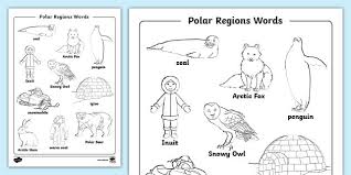 Discover thanksgiving coloring pages that include fun images of turkeys, pilgrims, and food that your kids will love to color. Polar Region Words Coloring Sheet