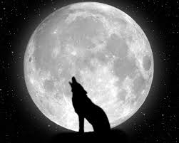 1920x1080 wolf wallpaper unique black wolf white wolf reddit hd wallpapers. Free Download Black Wolf Backgrounds Wallpaper Black Wolf Backgrounds Hd Wallpaper 2500x1400 For Your Desktop Mobile Tablet Explore 70 Black Wolf Wallpapers Wolf Wallpaper Hd Wolf Wallpaper Desktop Cool