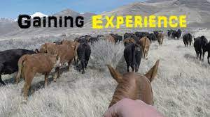 How To Become A Cowboy/Ranch Hand | Part 1: The Difference - Youtube