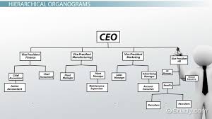 What Is An Organogram Definition Structure Example