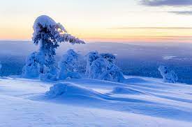 Weitere ideen zu winterspiele, winter, winterbilder. Bilder Von Lappland Landschaft Finnland Natur Winter Schnee