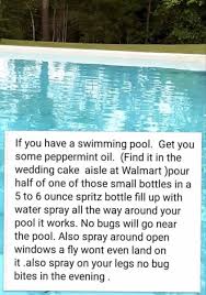 Pin By Vanessa Sciotti On Home Silverwood In 2020 Spray Pool Pool Pool Care