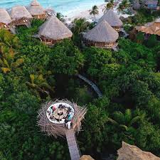 A Human Sized Bird Nest Resort Tulum Azulik Tulum