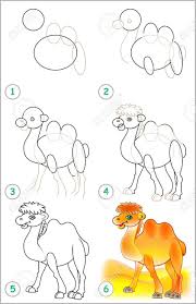 Learn how to draw camels while helping to showcase and support social enterprises in west africa. Page Shows How To Learn Step By Step To Draw A Camel Developing Royalty Free Cliparts Vectors And Stock Illustration Image 67662435