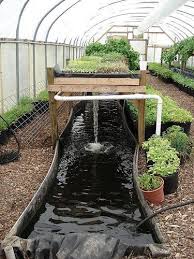 Black And Decker Plant In Texas Do You Do Aquaponics In Texas Us Too We Will Show Off Your Pics Products Websites And Services On Www Aquaponics Aquaponics Greenhouse Aquaponic Gardening