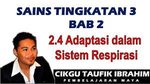 Bernafas merupakan salah satu ciri dan aktivitas makhluk hidup. Sains Tingkatan 3 Kssm I Bab 2 Respirasi I 2 4 Adaptasi Dalam Sistem Respirasi Youtube